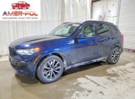BMW X5 M50i 2020 4.4 Benzyna 523KM