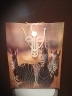 Torba zakupowa recykling zjawiskowy eko print Afryka zebry! 