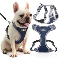 SZELKI DLA PSA GUARD ZWIERZOPASJA ASTRO S GRANATOWE BEZUCISKOWE REGULOWANE