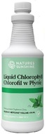 NSP CHLOROFIL Nature's Sunshine W PŁYNIE DETOX 476 ml