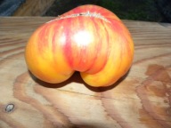 Pomidor Beauty King pyszny urodziwy nasiona kolekcjonerskie