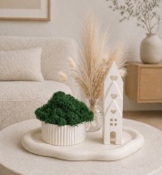 Zestaw dekoracyjny domki mech chrobotek taca boho