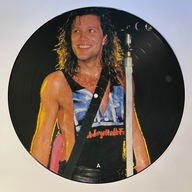 Bon Jovi - Slippery When Wet picture disc (UK 1987) VG+, wersja limitowana