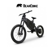 ROWER ELEKTRYCZNY MTB BearEbike Light 250W 1900Wh PAS 90NM POLSKI PRODUKT