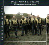 Tak niewielu w heroicznej obronie Polacy w kampanii 1940 Dywizjon 303