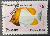 Ryby (kas) - luzak - do uzupełnień 13/6