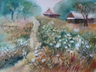 łąka na wsi Akwarela Sabina Salamon 40x28