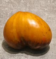 Pomidor Amber Sergeant (432) nasiona kolekcjonerskie