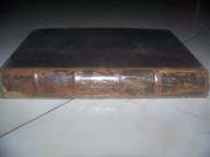 VERNE - L'ILE A HELICE - CUDOWNA WYSPA - DRZEWORYTY