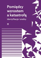 Pomiędzy wzrostem a katastrofą K. Łukasiewicz, J. Schindler, H. Schudy