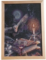 Obraz ręcznie zrobiony haftem diamentowym Harry Potter Hogwart Hedwiga