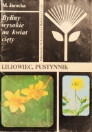 Liliowiec, pustynnik - Małgorzata Jarocka