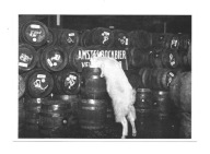 Pocztówka - Beczki z piwem, koza i walka z nałogiem ...