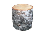 Pieniek ogrodowy pień ognisko BRZOZA drapak 25 cm