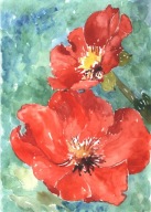 =KWIACIARNIA= Obraz =martwa natura=KWIATY=akwarela=