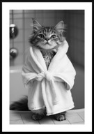 A3 CZARNO-BIAŁY PLAKAT DO ŁAZIENKI TOALETY ZABAWNY KOT W SZLAFROKU UROCZY