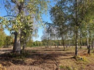 Działka, Będzin, Będziński, 604 m²