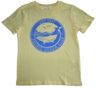 T-shirt wieloryb r. 110/116 H&M