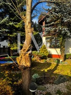 Dom, Pruszków, Pruszkowski, 260 m²