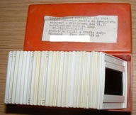 PRZYSTOSOWANIE ROŚLIN DO ŚRODOWISKA WODNEGO