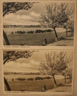 ŻNIN Krajobraz Wielkopolski, CZYSTE, Okolica Żnina - 2 ODMIANY, RZADKOŚĆ