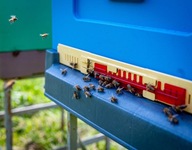 72. VOUCHER DO APIDOMKU