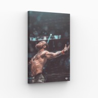 Obraz na Płótnie 40x70cm Conor McGregor 2 MMA UFC Król Sport Legenda Hit