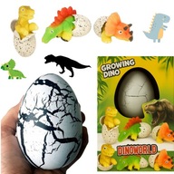 DUŻE JAJO JAJKO DINOZAURA WYKLUWAJĄCY ROSNĄCY W 24H DINOZAUR T-REX XXL