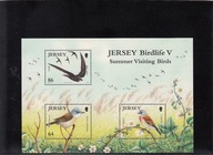 Fauna, ptaki, Jersey **