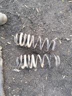 FORD ECOSPORT SPRĘŻYNA ZAWIESZENIA TYŁ TYLNA