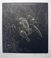 *KP* Szamocki Wiesław (1) Ex libris Wout Meuleman, X3, 1986