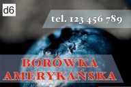 BANER SPRZEDAŻ BORÓWKI BORÓWKA 2x1 3