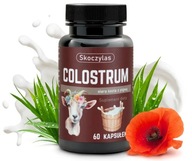 Skoczylas colostrum siara kozia z pigwą 60 kapsułek