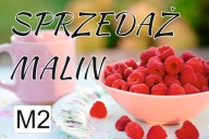 BANER PLANDEKA SPRZEDAŻ MALIN 120X80 M2