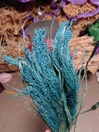 proso naturalne suszone trawy zboże kwiaty bukiety ciemny niebieski granat