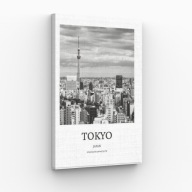 Obraz na płótnie 40x70 Tokyo Japan miasto nocą | Pomysł na prezent