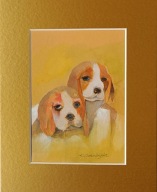 pies beagle dwa psy akwarela na papierze