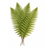 Roślina sztuczna liść paproci do terrarium dekoracja naturalny wygląd