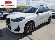 BMW X1 xDrive28I 2024 2.0l 2.0 Benzyna 241KM