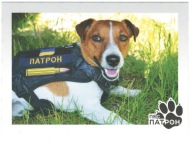Pocztówka Ukraina 2022 Pies Patron