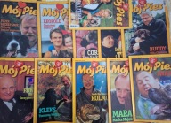 "Mój Pies" 1998/99 (11 num.), tu m.in. york, kaukaz, berneńczyk, bernardyn