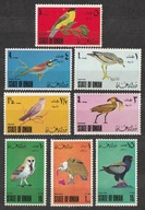 OMAN - PTAKI - FAUNA - CZYSTE **