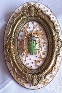 Zawieszka biżuteryjna - zielony owad