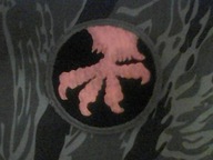 NASZYWKA US ARMY 17TH AIRBORNE