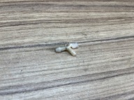 STIHL MS 171 181 211 MOCOWANIE KOLANKO PRZEWODU ODPOWIETRZNIKA PALIWA