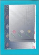 PAPETERIA OZDOBNA P008 (5 KOPERT C-6 oraz 5 KARTEK A5)