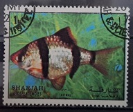 Ryby (**) - luzak - do uzupełnień 13/1