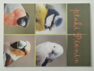 PIENINY PARK NARODOWY - MAP/INFO - TEN PRZEDMIOT - LASY