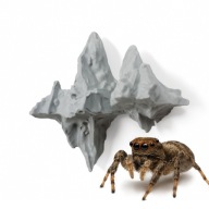 DEKORACJA NA MAGNES 3D DO TERRARIUM DLA SKAKUNA - SKAŁKA KRYJÓWKA