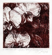 "Orchidee IV" akwaforta, akwatinta, 10x10/20 x 20 cm